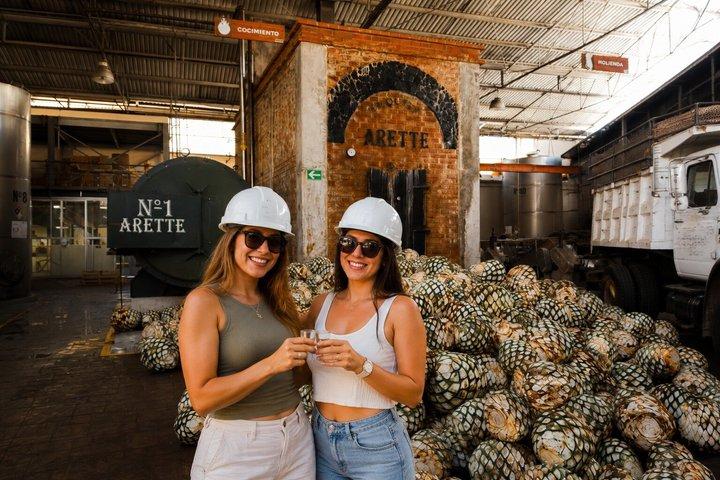 Private Tour to Tequila with Tequila Arette Tasting
