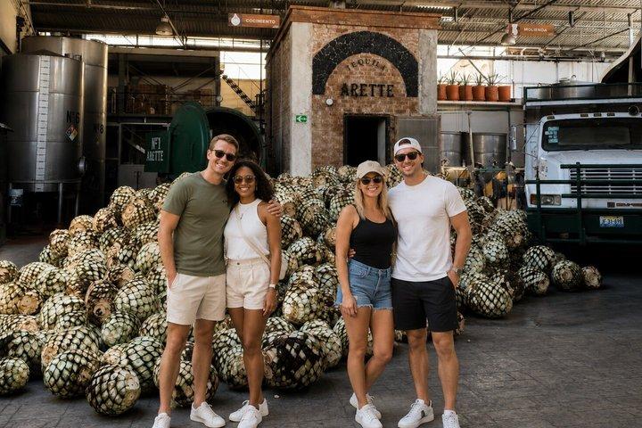 Private Tour to Tequila with Tequila Arette Tasting