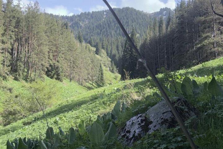 Scenic Horseback Riding Experience in Ile-Alatau National Park