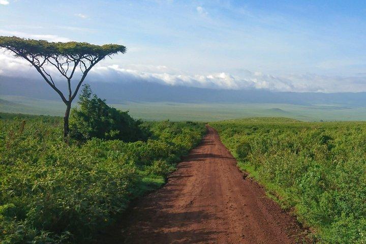 3-Day Camping Safari Tarangire, Ngorongoro and Lake Manyara