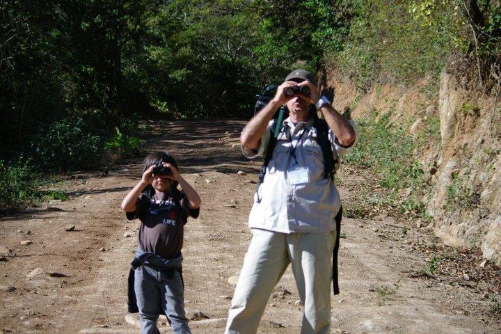 Best Monteverde Bird Watching Tour Curi-Cancha Reserve