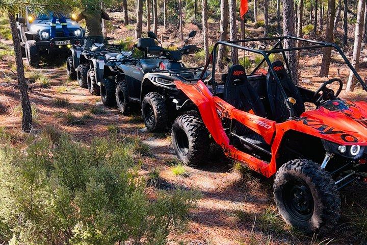 Cape Town Elgin Valley Quadbiking to Waterfall