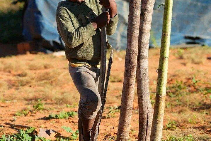 Traditional Zimbabwe Village Tour Near Victoria Falls