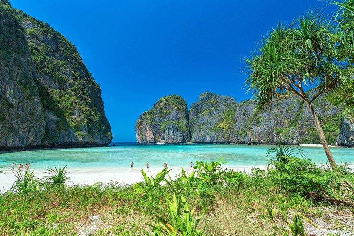 Phi Phi Maya Tour by Speedboat or Catamaran [Inc. National Fees]