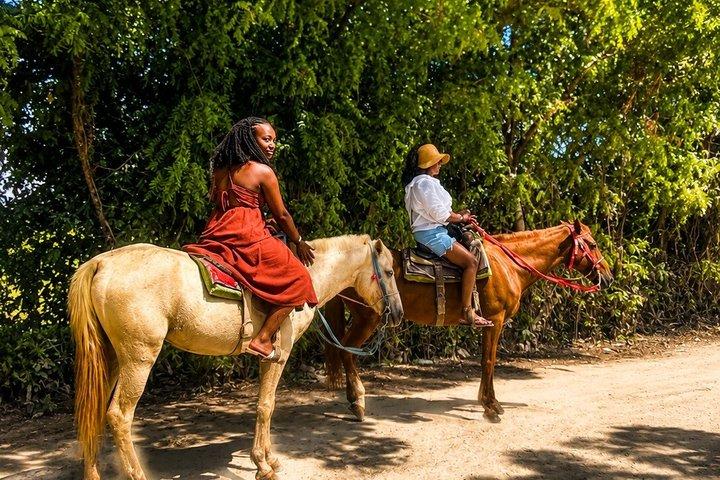 Punta Cana Horseback Riding Tour To Monkeyland & Macao Beach