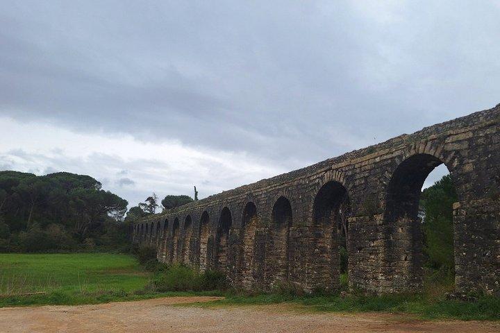 Private Lisbon to Porto Tour via Fátima, Tomar, Coimbra or Aveiro