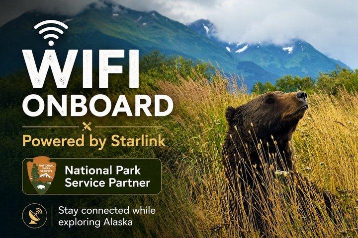 Seward Cruise Transfer with Wildlife & Scenic Tour to Anchorage