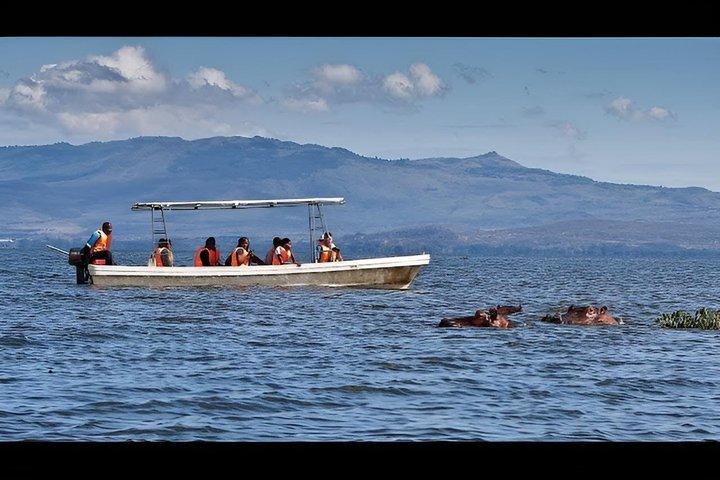 7-Day Wildebeest Migration Safari: Amboseli & Masai Mara