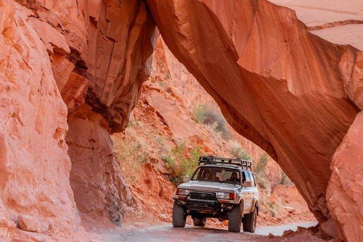 Canyonlands National Park Backcountry Adventure