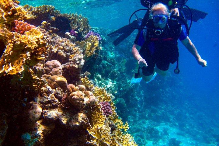 Nha Trang 1 Dive Scuba Diving Experience with BBQ Lunch