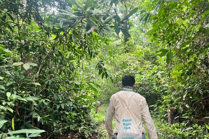 Siem Reap to Phnom Kulen Rainforest Adventure Trek
