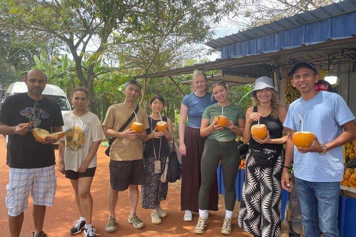 Colombo to Sigiriya Lion Rock, Dambulla Temple & Safari Day Tour