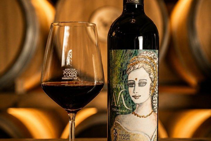 From Florence: San Gimignano, Wine Tasting & Cooking Class