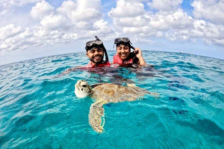 Private Turtle Snorkel Tour in Aruba +Professional video footage