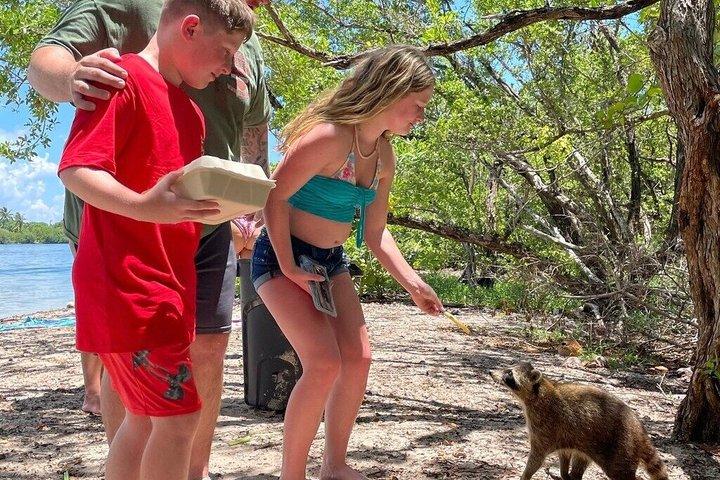 Raccoon, Mangroves & Sandbar Adventure, Water Toys & Snorkel Boat