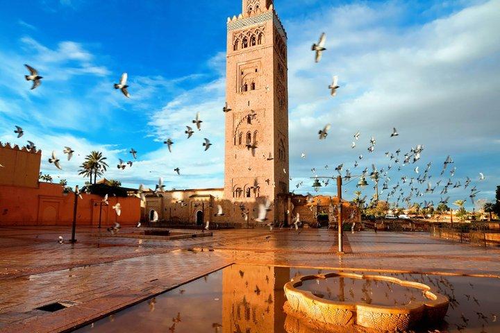 Marrakech half Day City Tour with Private Transport