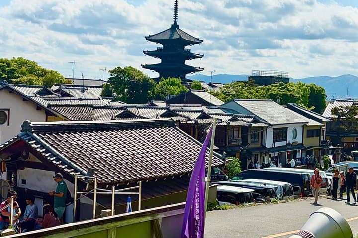 Kyoto and Nara private family tour with English speaking guide