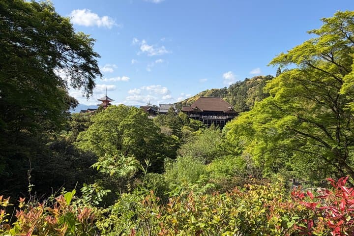Kyoto and Nara private family tour with English speaking guide