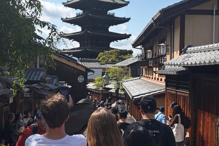 Kyoto and Nara private family tour with English speaking guide