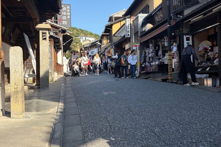 Kyoto and Nara private family tour with English speaking guide
