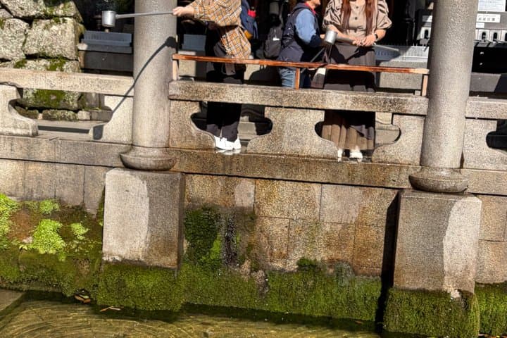 Kyoto and Nara private family tour with English speaking guide