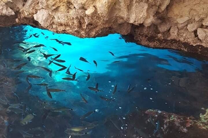 Corfu Paleokastritsa 1hr tour Sea Caves Paradise Stelari beach