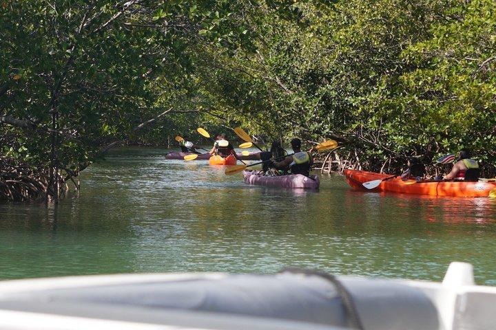 Raccoon, Mangroves & Sandbar Adventure, Water Toys & Snorkel Boat