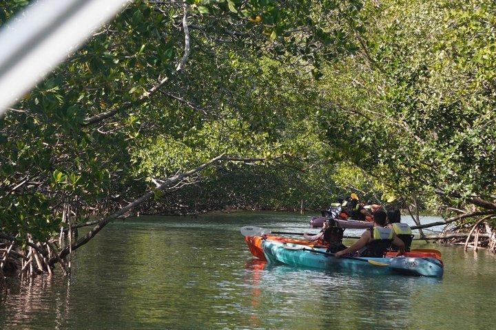 Raccoon, Mangroves & Sandbar Adventure, Water Toys & Snorkel Boat