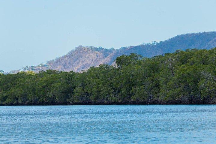 Tamarindo Estuary Tour Wildlife Adventure in Guanacaste