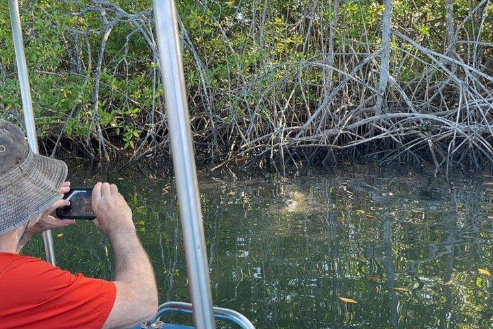 Tamarindo Estuary Tour Wildlife Adventure in Guanacaste