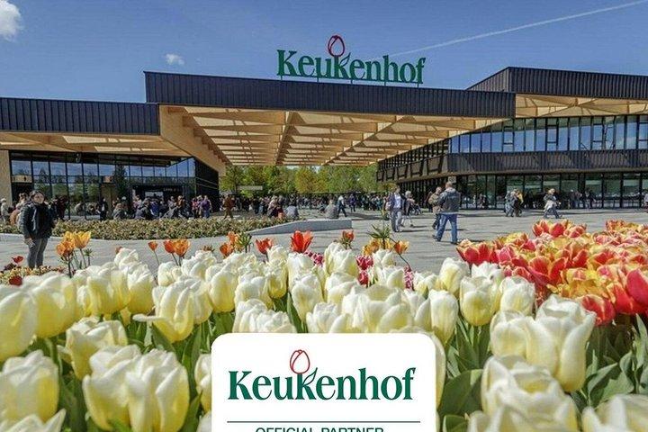 Private Keukenhof Park & Tulip Fields Tour from Rotterdam