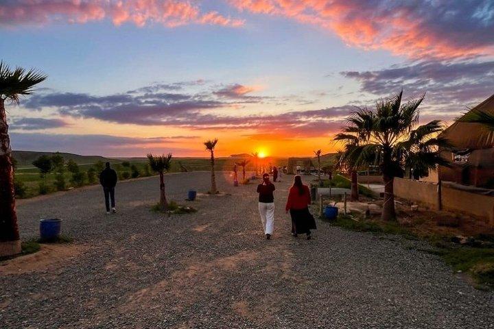 Marrakech Agafay Desert Sunset Camel Ride, Dinner & Fire Show