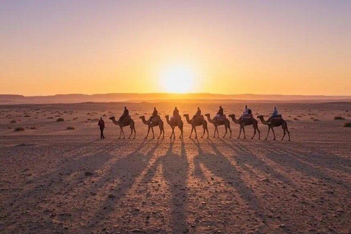 Marrakech Agafay Desert Quad & Camel with Lunch & swimming pool