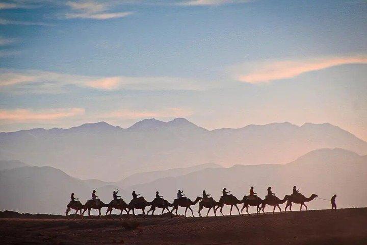 Marrakech Agafay Desert Quad & Camel with Lunch & swimming pool