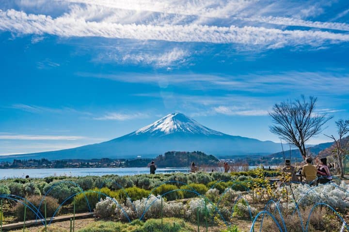 Mt. Fuji Highlight Photo Spots One Day Tour from Tokyo