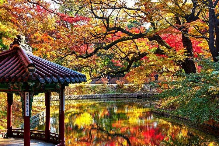 Full Day 3 Palaces and Secret Garden Hidden Royal Seoul
