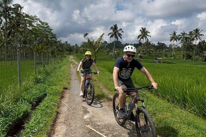 Bali Natural Downhill Cycling Tour: Volcano, Rice Fields & Meals