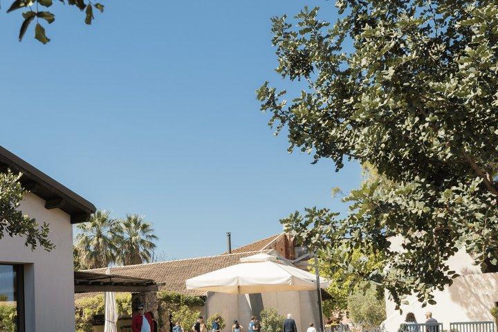 Mozzarella Experience: Tour + Lunch in Paestum's dairy