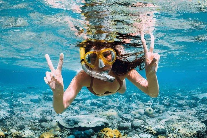 Snorkeling In Pasikudah Reef