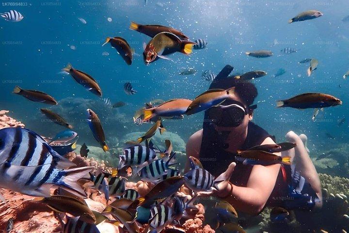 Snorkeling In Pasikudah Reef
