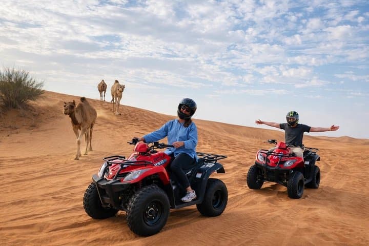 VIP Desert Safari & Dinner Show The Fort Lisaili