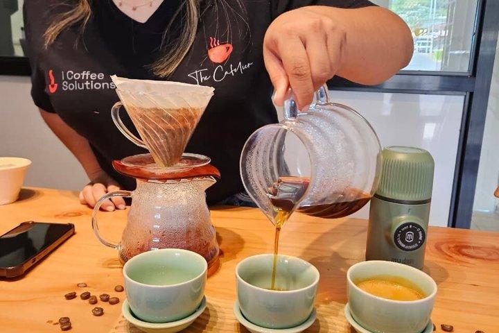 Taste Panama Coffee Tasting Experience
