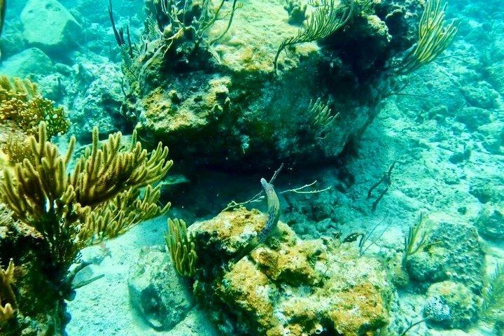 Tortola Private Tour and Snorkeling in the most beautiful beaches