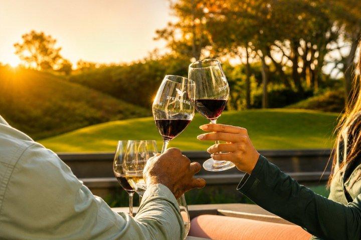 Cape Town: Constantia Winelands