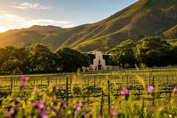 Cape Town: Constantia Winelands