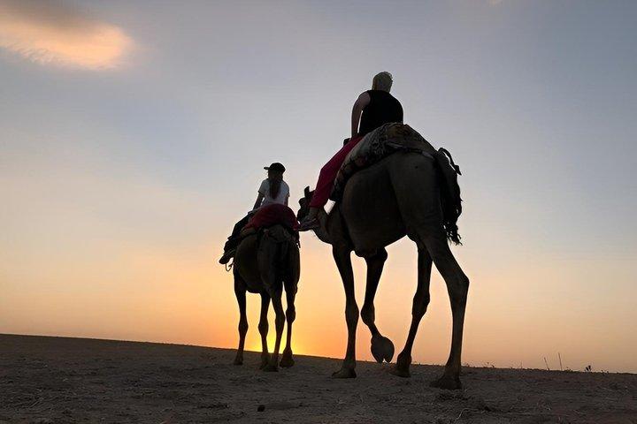 Marrakech Agafay Desert Sunset Camel Ride Dinner Show & Pickup
