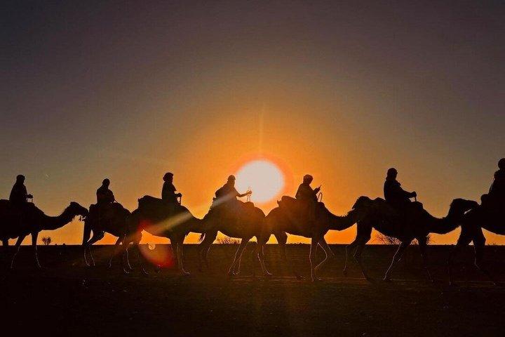 Marrakech Desert Agafay Sunset Dinner Show & Hotel Transfer