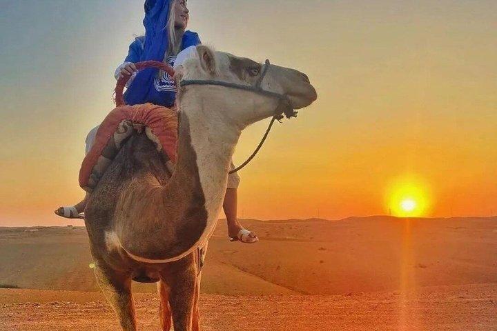 Marrakech Agafay Desert Sunset Camel Ride Dinner Show & Pickup