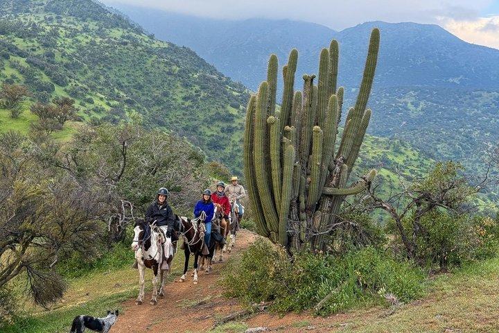 Andean Horseback Ride: Scenic Trails & Wine Picnic