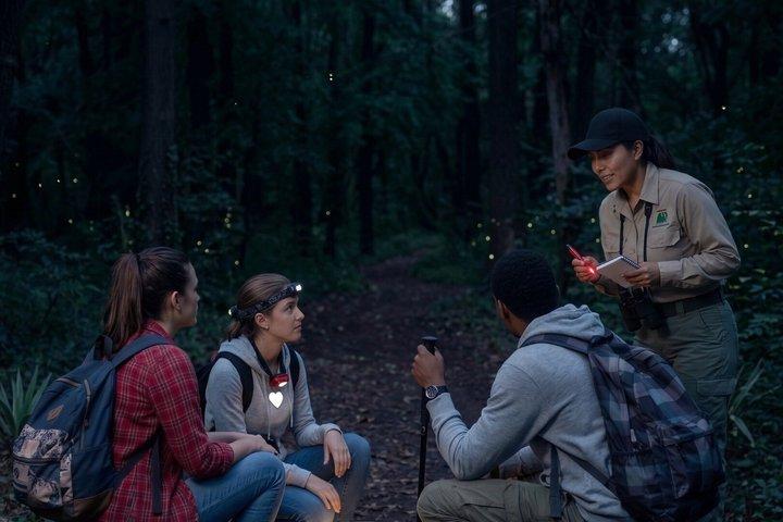 From Puebla: Firefly Sanctuary Tour + Local Dinner
